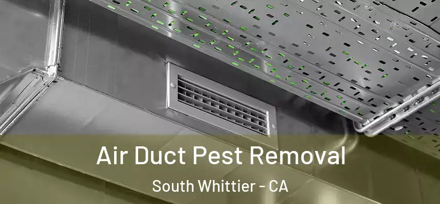  Air Duct Pest Removal South Whittier - CA