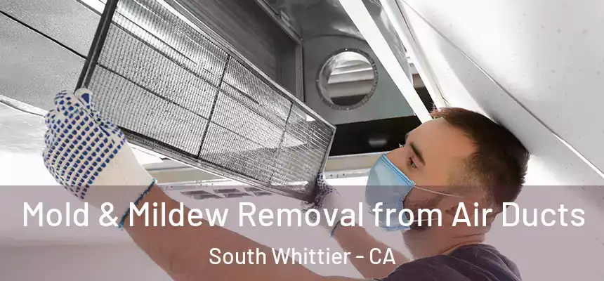  Mold & Mildew Removal from Air Ducts South Whittier - CA