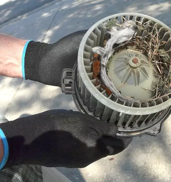 About Air Duct Rat Removal in South Whittier, CA