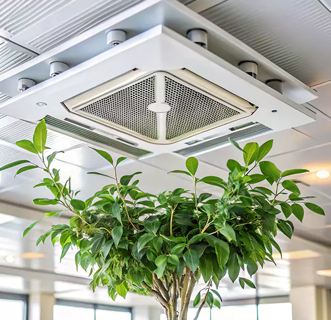 Why Homeowners & Businesses Trust Us in South Whittier, CA